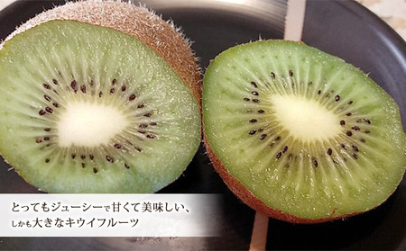 キウイフルーツ 美津みどり スイーツキウイ 産地直送 キウイフルーツ