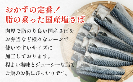 訳あり 塩サバフィーレ1kg（10枚前後） 鯖 冷凍 不揃い 魚 お魚 おかず お弁当 美味しい 簡単調理