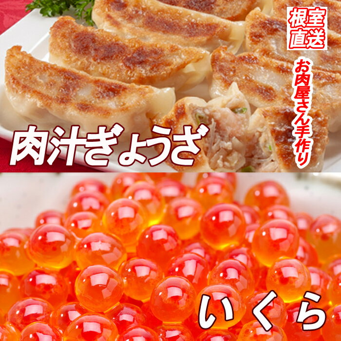 【ふるさと納税】 餃子 25 個 × 1P、いくら醤油漬け 100g × 1P イクラ 醤油 醤油漬 魚卵 鮭卵 お取り寄せ グルメ 海鮮 ぎょうざ 豚肉 北海道 根室市 ふるさと納税 A-36042