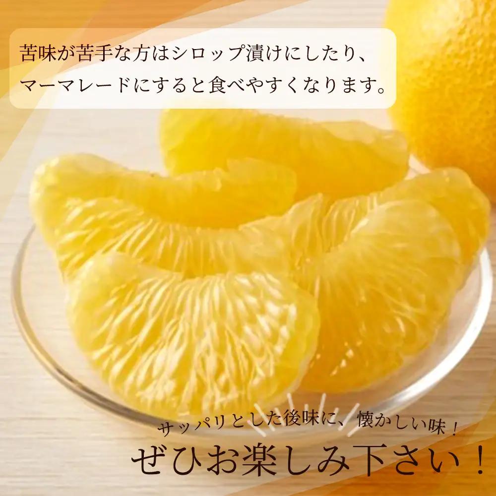 紀州和歌山産 八朔（はっさく） 約10kg ※2027年1月下旬頃〜2027年2月上旬頃に順次発送 ※日付指定不可 / 八朔 はっさく 柑橘 果物 くだもの フルーツ【uot785】