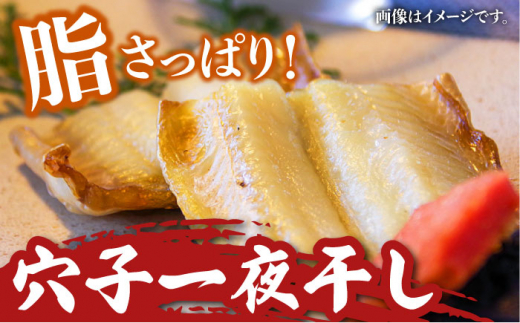 【全3回定期便】対馬産 活〆 穴子 ３点 セット B【THE・対馬株式会社】《対馬市》新鮮 あなご 刺身 天ぷら 海鮮 肉厚 簡単調理 二人前 [WAS009]
