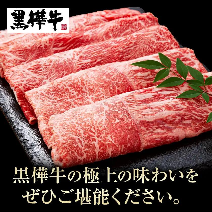 くまもと黒毛和牛 黒樺牛 A4～A5等級 焼肉用カルビ 250g 株式会社杉本本店 《90日以内に出荷(土日祝除く)》熊本県 菊池市 牛肉 牛 霜降り 赤身 お肉 焼き肉 BBQ 黒毛和牛 国産 九州