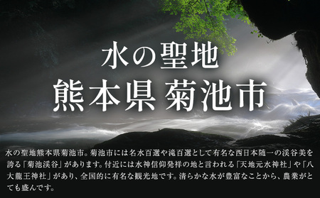 菊池市への寄附(返礼品はありません) 熊本県 菊池市 返礼品なし 100,000円