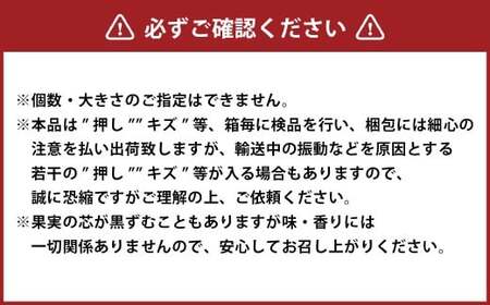 あたご梨 3～5玉 合計約3kg 化粧箱 梨 ナシ なし 愛宕梨 あたごなし ジャンボ梨 【2025年11月下旬～12月下旬発送予定】