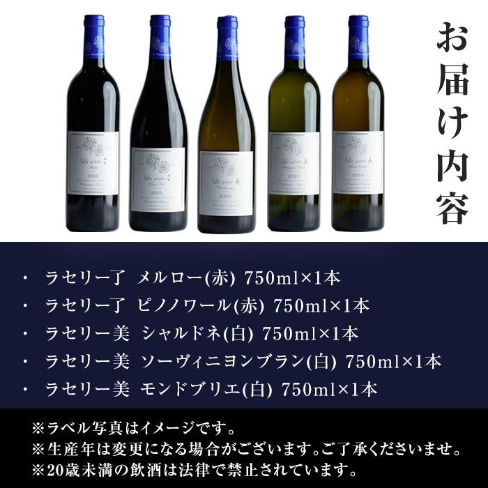 自社葡萄を使用したワインセット 750ml×5本 赤ワイン 白ワイン メルロー ピノノワール シャルドネ ソーヴィニヨンブラン モンドブリエ ミディアムボディ 辛口 ぶどう ブドウ アルコール みらい