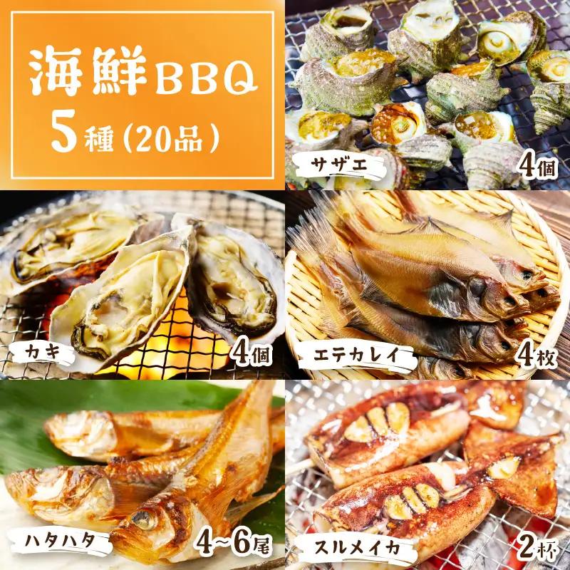 大満足！京丹後・海鮮BBQ　Aセット　5種20品（3～4人前）（2026年4月中旬～発送） 魚介類 さざえ 蠑螺 カキ かき いか バーベキュー ばーべきゅー きゃんぷ アウトドア あうとどあ 個包装