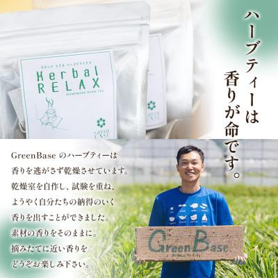 ふるさと納税 香南市 6か月定期便 さわやかレモンバームハーブティー 合計108袋 Wgr-0099 |  | 03