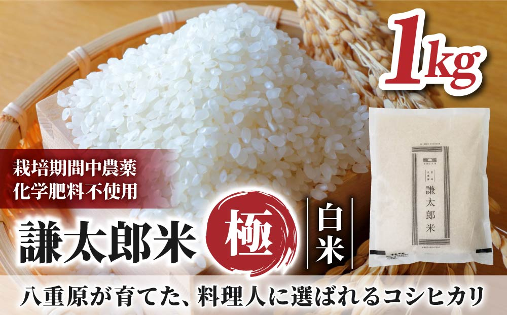 【令和8年産 新米】八重原産コシヒカリ 白米「謙太郎米・極」（栽培期間中農薬・化学肥料不使用）1kg お試し【太陽と大地】