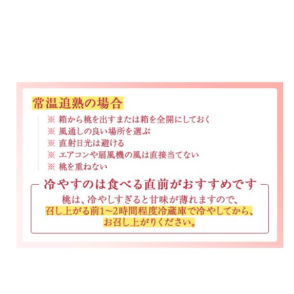 【産直・人気の特産品】和歌山の桃　3玉入り
※着日指定不可
※北海道・沖縄・離島への配送不可
※2025年6月下旬～8月上旬頃_イメージ5