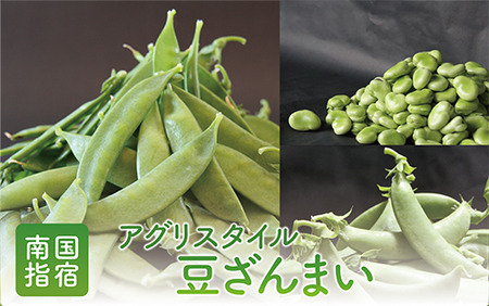 2026年1月中旬～発送 豆ざんまい アグリスタイル A-294 鹿児島県 指宿市 新鮮 直送 レンジで簡単調理 豆 えんどう豆 スナップエンドウ そら豆 国産 野菜 キヌサヤエンドウ 絹サヤ さや付きそら豆 オランダエンドウ