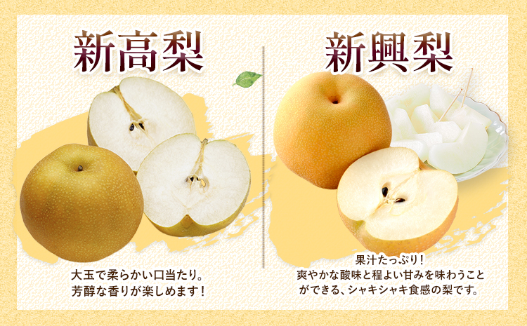 【2026年先行予約】熊本県氷川町産 吉野梨 品種おまかせ 約2kg (2～16玉前後) 《8月上旬-9月末頃出荷》 梨 梨 旬の梨 なし