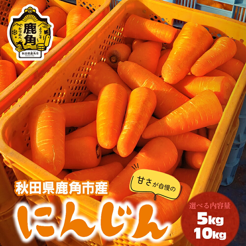 【ふるさと納税】《 先行予約 》 にんじん 5kg / 10kg 人参 甘い 秋田県 鹿角市 国産 野菜 高糖度 ニンジン グルメ ギフト 故郷 秋田 あきた 鹿角市 鹿角 送料無料 【鏡田ファーミング】