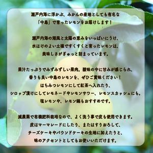 【先行予約】 瀬戸内海の島レモン (優品・家庭用) 3kg | みかんみかんみかんみかんみかん 【KK325】
