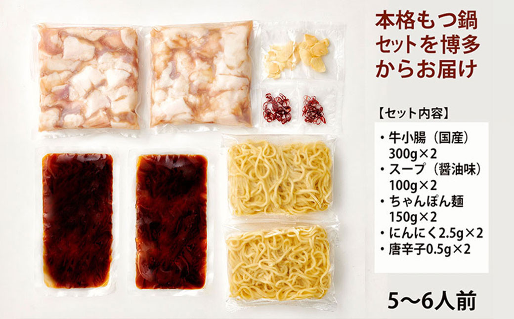 もつ鍋セット 牛もつたっぷり 約600g！大容量5～6人前（あごだし醤油味）博多もつ鍋やまや
