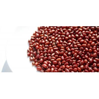 ふるさと納税 伊豆市 おはぎのサブスク(4回定期便) 森島おはぎ6個入り×2パック×年4回 |  | 03