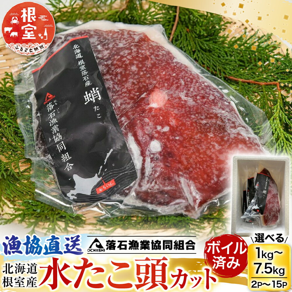 【ふるさと納税】 [北海道根室産] ボイル水たこ頭カット 選べる 2P ? 15P ミズタコ 蛸 タコ たこ みずたこ 水蛸 ボイル 茹でだこ 茹で蛸 ゆでだこ ゆで蛸 お取り寄せ グルメ 海鮮 北海道 根室市 ふるさと納税