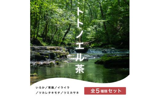 お茶 ブレンド茶 5種×各1包 漢方 健康茶 ブレンド ティー リラックス セルフケア 飲み比べ セット 詰め合わせ お取り寄せ 個包装 飲料 飲み物 伊勢志摩 伊勢 志摩市 三重県 5000円 5千円 五千円 「トトノエル茶シリーズ」 いろか 胃腸 イライラ ツカレタキモチ ツミカサネ 全5種類