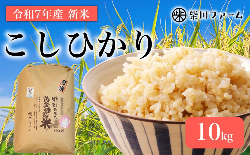 
            【数量限定 先行予約 令和7年産】 環境こだわり栽培 新米 こしひかり 10kg 玄米 米 こめ 10 コシヒカリ 令和7年 7年 10月 順次発送 滋賀 彦根
          