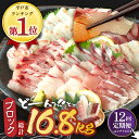 【ふるさと納税】【全12回定期便】平戸市 鮮魚 ブロック 3種 計約16.8kg （約1.4kg/回）百旬館 [KAK034]