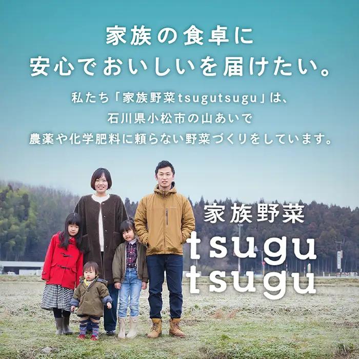 【先行予約】紅はるか 5kg ねっとり甘～い おいもさん 【農薬・化学肥料不使用】