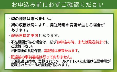 【先行予約】【 晩生梨（新興梨 王秋梨 愛宕梨）4kg 大きめサイズ（1玉450g～700gを4～9玉）】10月中旬から12月下旬にかけて発送 香住産 果物 フルーツ ナシJAたじま 12-06