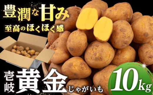 【先行予約】壱岐黄金 10kg【2027年2月中に発送】《壱岐市》【壱岐市農業協同組合】 じゃがいも ジャガイモ ポテト 野菜 季節の野菜 夏野菜 冬野菜 [JBO140]