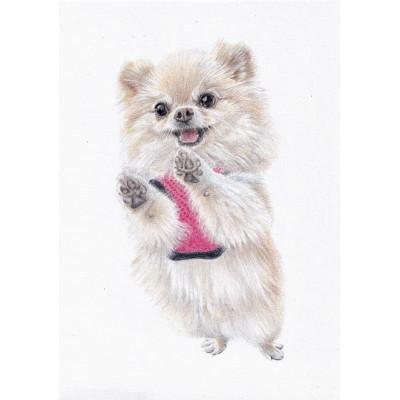 ふるさと納税 愛西市 ペット肖像画A4サイズ計1枚 |  | 03