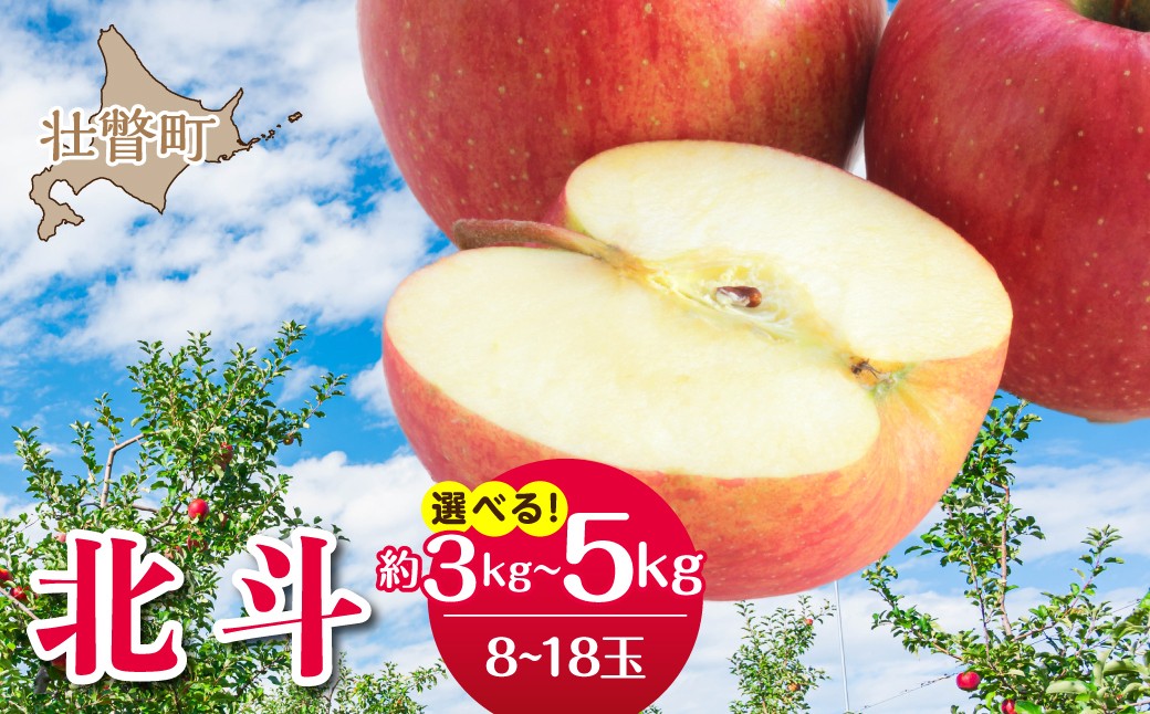 
                  【先行予約】北海道壮瞥町産りんご「北斗」選べる内容量　8～18玉 約3kg・5kg  ＜2026年11月中旬よりお届け＞【ふるさと納税 人気 おすすめ ランキング りんご リンゴ 林檎 ほくと 甘い 蜜入り ジュース 酢 送料無料】SBTF022
                