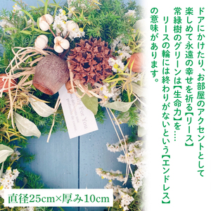 【11月下旬以降発送・数量限定】常緑樹の香りあふれるクリスマスリース（限定品）【インテリア おしゃれ 壁飾り プレゼント お花 ギフト ナチュラル クリスマス リース 水戸市 水戸 茨城県】（KW-3