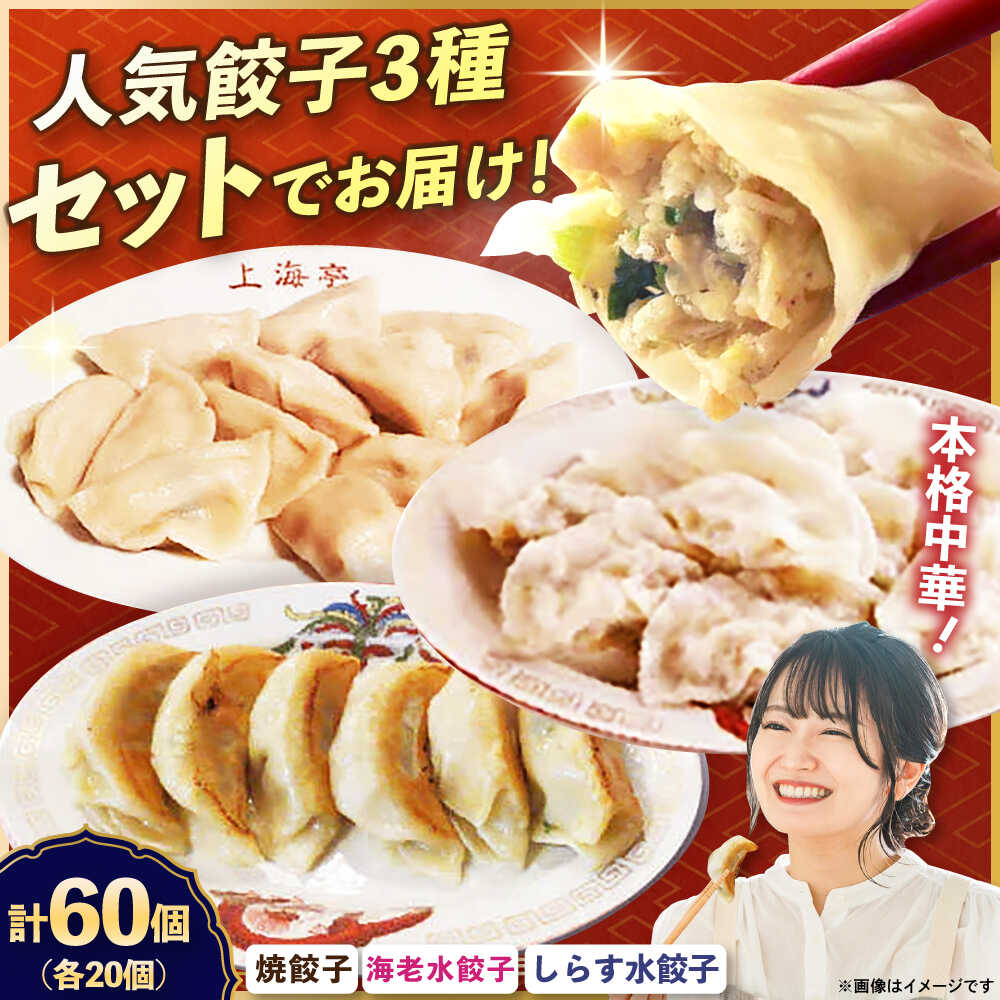 【ふるさと納税】【テレビで紹介されました！】冷凍 海老水餃子 しらす水餃子 焼餃子 3種 60個 ジューシー モチモチ 自家製 餃子 ぎょうざ【横須賀商工会議所 おもてなしギフト事務局（上海亭）】お取り寄せ おかず つまみ ビール 簡単 本格 肉汁 えび ギョーザ [AKED009]