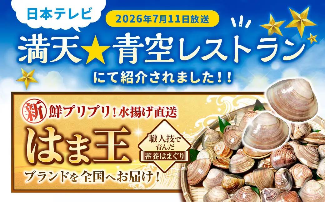 【満天☆青空レストランでご紹介】桑名はまぐり屋 蓄養はまぐり 3年～6年もの 3kg_はま王 蛤 ハマグリ 魚介 貝 魚貝 活はまぐり 焼きはま 海鮮 網焼き 酒蒸し お吸い物 パエリア パスタ 焼き