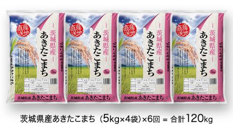 【6ヶ月定期便】 令和4年産米 茨城県産 あきたこまち (精米) 20kg ( 5kg ×4袋)×6回 計120kg お米 米 白米 精米 大容量 定期便 6回 6ヶ月 単一米 [AK023ya]