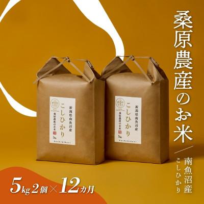 ふるさと納税 南魚沼市 【毎月定期便】桑原農産 山間地限定米 南魚沼産こしひかり5kg×2全12回