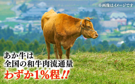 くまモン ハンバーグ 6個 ハンバーグ BHAS009