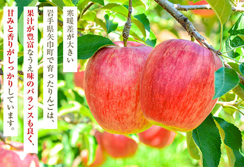 中野果樹園のサンふじ3kgとりんごジュース720ml×2本/さんふじ サンフジ サンふじ 送料無料 矢巾町産 りんご 予約 蜜 ジュース 果汁 しゃきしゃき シャキシャキ 甘い 酸味 贈答 ギフト プ