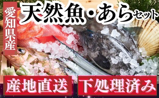 下処理済み 天然魚・アラセットC 煮魚タレ付き 急速冷凍 真空パック 岬だより 愛知県 南知多町 人気 おすすめ