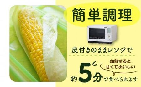 訳あり ご家庭用ドルチェドリーム 約4.5kg【2024年6月上旬～2024年7月上旬配送】【T006-280】