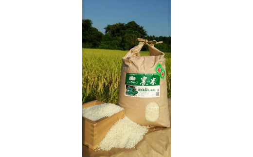 【令和7年産】【新米】古河市産　コシヒカリ5kg【倉持農園】 | 米 こめ コメ こしひかり コシヒカリ 5キロ 古河市産 茨城県産 贈答 贈り物 プレゼント 茨城県 古河市 直送 農家直送 産地直送