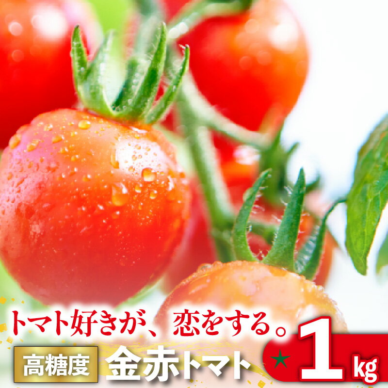 【ふるさと納税】【 先行予約 】【11月から順次発送】トマト好きが、恋をする。 1kg 金赤トマトミニ 野菜 新鮮野菜 ミニトマト 味が濃い 高糖度 甘い 予約 トマト 送料無料