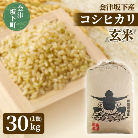 【ふるさと納税】3-D　コシヒカリ 玄米 会津 30kg 令和7年産 ｜ 特別栽培米 減農薬 米 お米 藤川農産 ※2025年10月上旬頃より順次発送予定