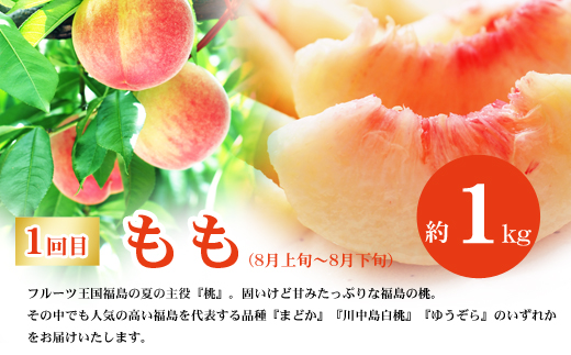 No.2867福島のフルーツ定期便３種【2025年発送】