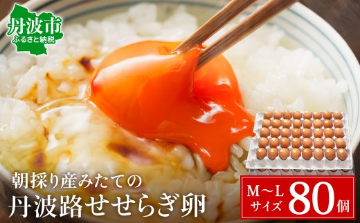 【兵庫県認証食品】朝採り新鮮！村上さん家のせせらぎ卵 80個（破卵補償5個付き）ひょうご推奨ブランド こだわり たまご 玉子 エッグ 丹波市