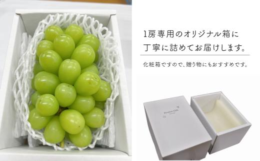 【きよとうファーム】数量限定！大粒シャインマスカット厳選品１房 /700g以上 (岡山県産) 【KF-B013-03】
