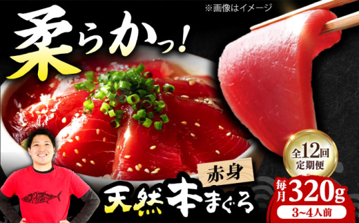 【全12回定期便】極上！たね熟天然本まぐろ赤身(320g) 天然 マグロ 鮪 赤身 刺身 魚 魚介 魚介類 海鮮丼 本マグロ 本まぐろ 本鮪 赤身 大トロ 冷凍 お刺身 お寿司 大阪府高槻市/本まぐろ直売所 [AOCE015] 本マグロ 寿司 海鮮 旨み 脂のり 切り身 鮮度抜群 海鮮丼 お取り寄せ 高級魚 ギフト 贈答用 海の幸 家飲み ごちそう おつまみ 炙り丼 手巻き寿司 お祝い パーティー