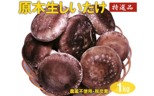 
DR02_原木生しいたけ　1Kg　特大厚肉品　特選品　贈答用　農薬不使用　脱炭素
※離島への配送不可
