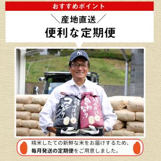 【定期便】令和6年産 新米 先行予約 訳あり 京都丹波米 きぬひかり5kg×12回 計60kg 定期便 5kg 12ヶ月 白米 12回定期便 ※精米したてをお届け◇ ｜ 緊急支援 米・食味鑑定士 厳選