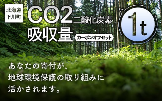 CO2（二酸化炭素）吸収量 1t カーボンオフセット 故郷 ふるさと  F4G-0011