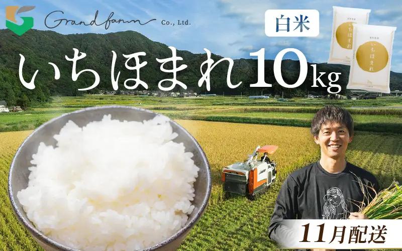 令和8年産 新米 いちほまれ 白米 10kg (5kg×2袋)【2026年11月以降順次発送】米 10キロ [m46-c005_11]