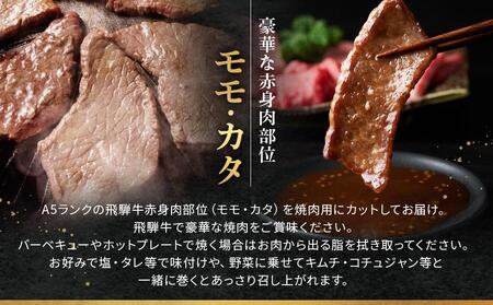 飛騨牛Ａ5 赤身肉 焼肉用 500ｇ モモ 又は カタ 肉 ｜国産 肉 牛肉 焼肉 和牛 黒毛和牛 赤身 グルメ A5等級 おすすめ AD123  【飛騨牛 和牛ブランド 飛騨牛 黒毛和牛 飛騨牛 岐