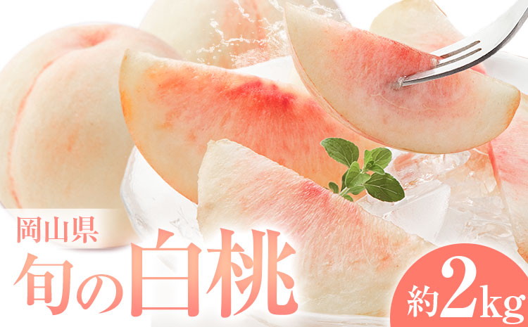 桃 岡山県の旬の白桃 約2kg 花田青果株式会社《6月下旬-8月下旬頃出荷予定(土日祝除く)》岡山県 浅口市 白桃 桃 もも 旬 フルーツ 果物【配送不可地域あり】